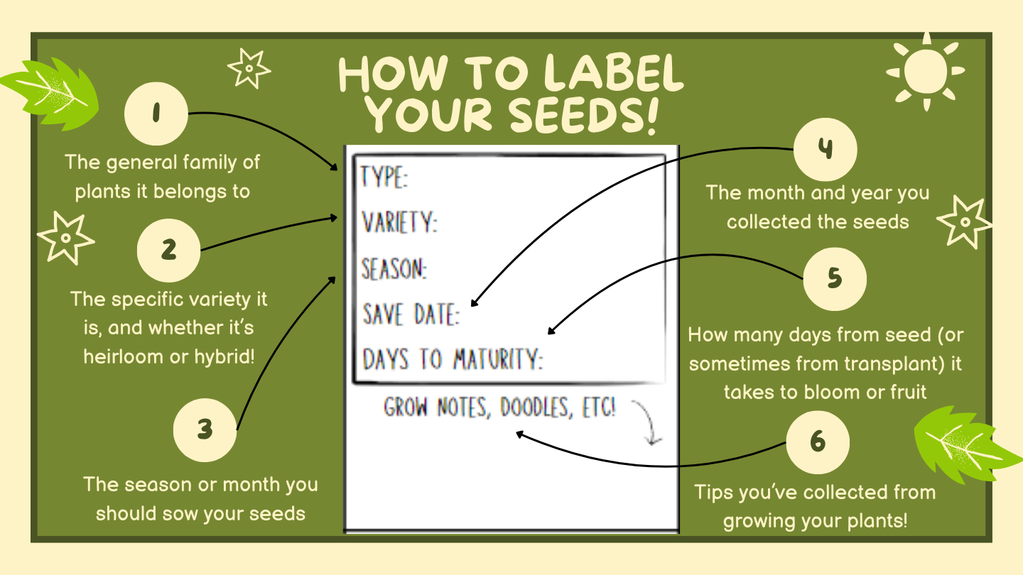 Basic Seed Collection Label Example It starts and ends with a little seed – Sincerely, Cornelius