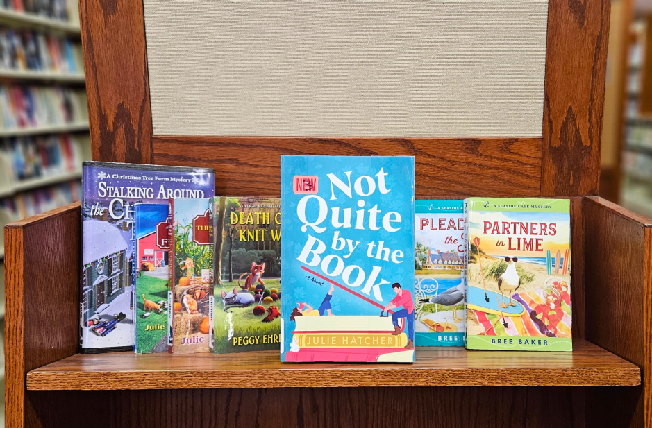 paperback books displayed face out on a wooden shelf