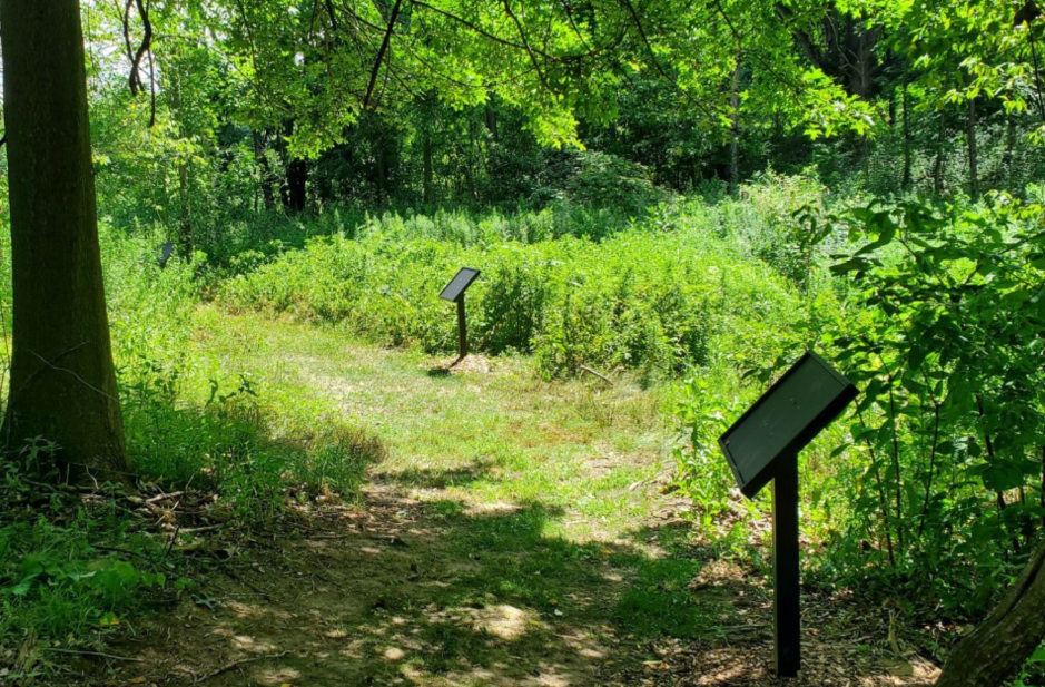 trail with sign posts leading out of a wooded area into the sunshine